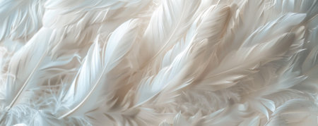A background of soft, white feathers gently overlapping each other, creating a light and airy texture. The serene and ethereal feel evokes a sense of calm.の素材