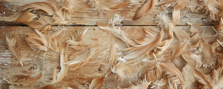 A rustic background of brown and tan feathers, set against a wooden surface. The natural colors and textures evoke a warm and earthy feel.の素材