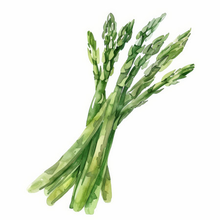 A watercolor illustration of a bunch of asparagus, featuring long green stalks with delicate tips, isolated on white background.の素材