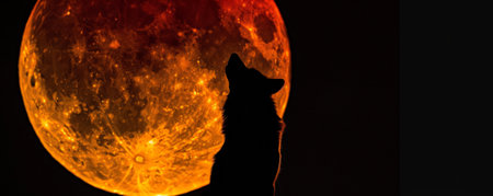 A striking image of a wolf silhouetted against the blood moon during a lunar eclipse, the moon's deep red color creating a dramatic backdrop.の素材