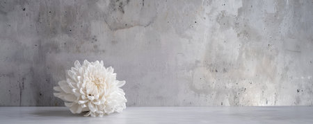 A chrysanthemum with a concrete backdrop and an empty wall. The intricate, layered petals of the flower add a touch of detail and interest to the minimalist flat lay image.の素材