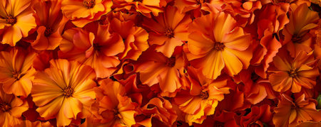 A detailed view of orange marigold petals, densely packed on a floral backdrop, showing their vibrant color and layered texture.の素材