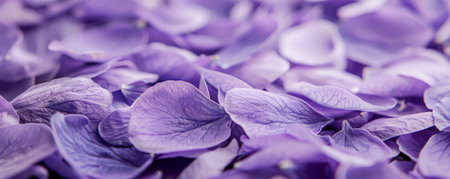 An intricate look at purple lavender petals, scattered on a floral background, showing their delicate form and calming color.の素材