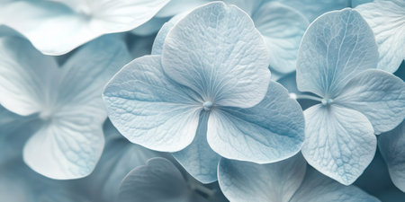 A delicate, macro view of pale blue hydrangea petals, with soft, smooth textures and subtle gradients, creating a serene, peaceful background.の素材