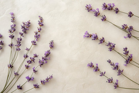 A soft floral background of lavender sprigs scattered across a textured, light cream surface, evoking tranquility and natural beauty.の素材
