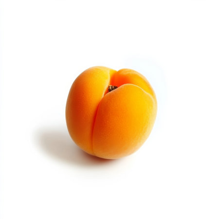 A single fresh apricot, isolated on a white background, showing a seasonal fruitの素材