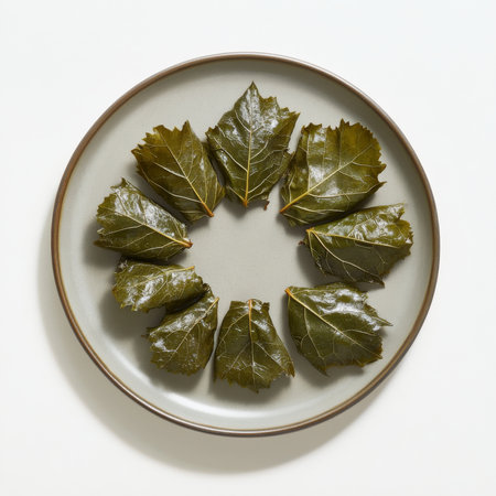 A plate of stuffed grape leaves, isolated on a white background, emphasizing a Mediterranean appetizerの素材