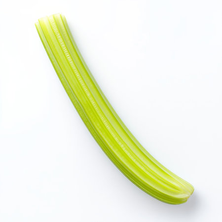 A single celery stalk, isolated on a white background, emphasizing a crunchy vegetableの素材