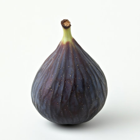 A single ripe fig, isolated on a white background, showing a sweet and nutritious fruitの素材