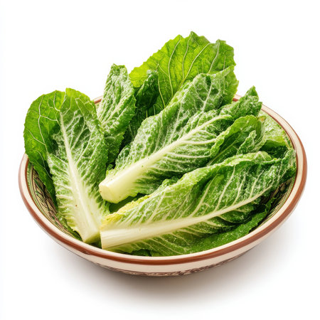 A plate of fresh Caesar salad, isolated on a white background, highlighting a classic leafy saladの素材