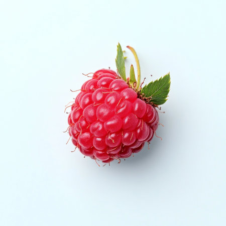 A single fresh raspberry, isolated on a white background, showing a vibrant and juicy berryの素材