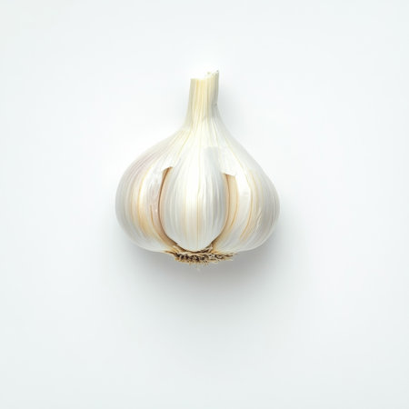 A single clove of garlic, isolated on a white background, showing a bold and aromatic ingredientの素材