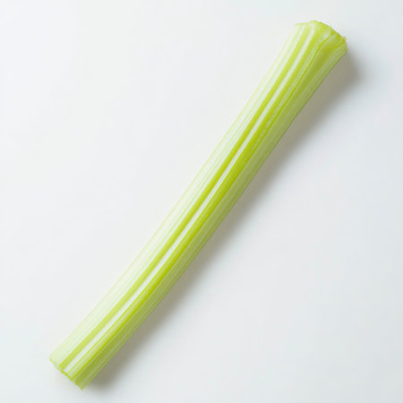 A single celery stalk, isolated on a white background, emphasizing a crunchy vegetableの素材