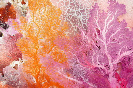 Coral reef texture, colorful and intricate, featuring a mix of vibrant pink, orange, and white branching patternsの素材