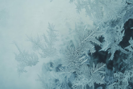 Intricate frost patterns on glass, dynamic icy fractals in pale blue tones, cold and detailedの素材