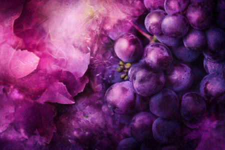 Textured grape clusters, vibrant purple tones with soft natural light reflections, detailed and organicの素材