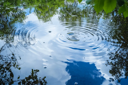Reflective water puddle texture, rippled surface reflecting sky and trees, natural and dynamicの素材