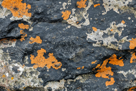 Rugged volcanic rock texture, porous black surface with hints of orange, raw and powerfulの素材