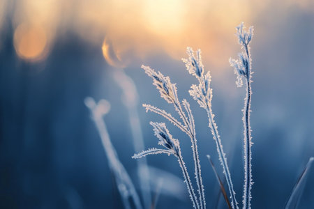 Textured ice patterns, intricate frost designs glowing softly under cold winter light, delicate and sereneの素材