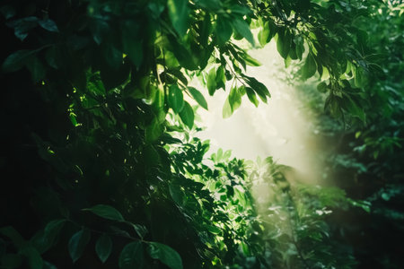 Textured forest canopy, dense green leaves with soft sunlight filtering through, vibrant and naturalの素材