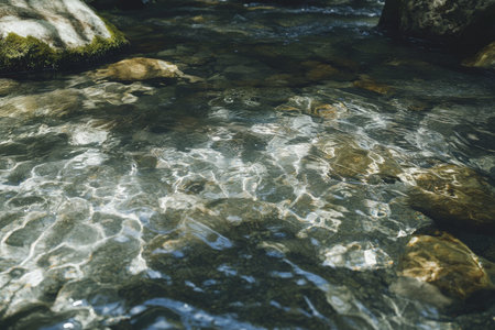 Textured forest stream, clear water flowing over rugged stones and moss under soft sunlight, calming and naturalの素材