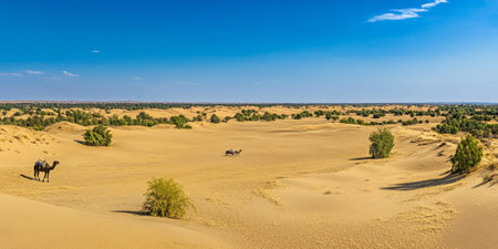 Desert landscape with golden sand dunes rolling endlessly under a vivid blue sky. A single camel caravan moves in the distance, and sparse vegetation dots the area. The shadows of the dunes create patterns and textures on the sand.の素材