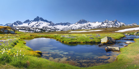 A pristine alpine meadow with a crystal-clear stream winding through it. Snow-covered peaks rise in the background, and vibrant wildflowers add pops of color to the lush green grass. The sky is bright and clear, enhancing the scene's serenity.の素材