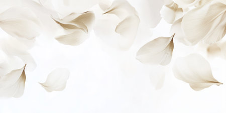 A soft, white background with delicate abstract shapes that resemble soft petals or leaves drifting across the surface. The subtle, natural design is ideal for spring campaigns, floral branding, or nature-inspired websites.の素材