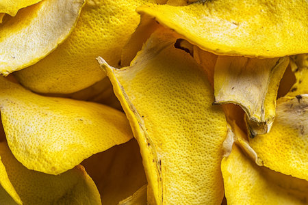 Macro shot of sunshine yellow citrus peel texture, detailed and slightly rough, natural imperfections.の素材