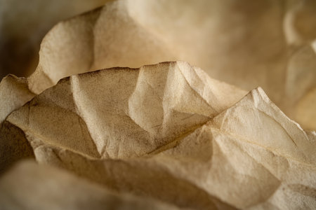 Macro shot of aged parchment texture, warm yellowed tones with faded creases and delicate fibers.の素材