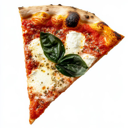 A perfectly charred slice of Neapolitan pizza with a thin, chewy crust, fresh tomato sauce, creamy mozzarella, and aromatic basil leaves. A wood-fired classic. Isolated on clean white backgroundの素材