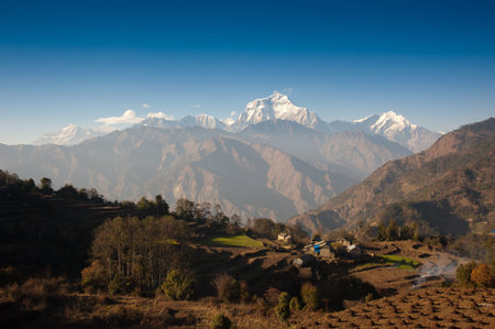 Beautiful view of green field, local house and Himalayan mountains when see during Poonhill peak...