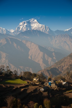Beautiful view of green field, local house and Himalayan mountains when see during Poonhill peak trekking way, Nepalの写真素材