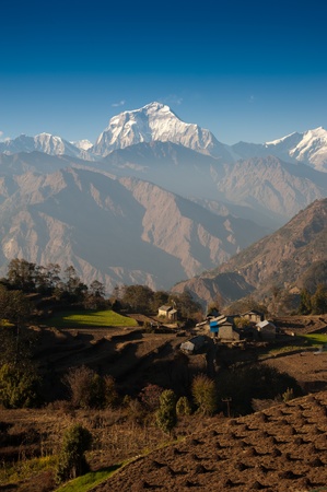 Beautiful view of green field, local house and Himalayan mountains when see during Poonhill peak trekking way, Nepalの写真素材