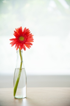 Beautiful of flower in the bottleの写真素材