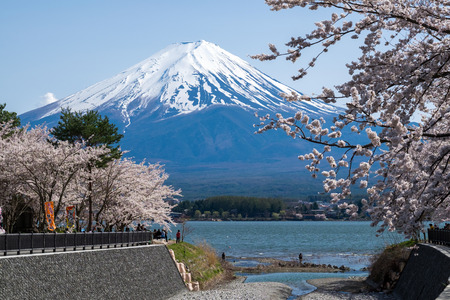 Beautiful view of Fujisan Mountain with cherry blossom in spring, Kawaguchiko lake, Japanの写真素材