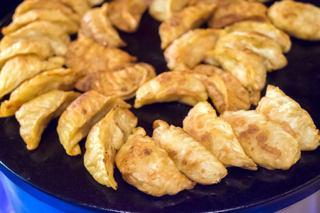 Fried Dumpling - Gyozaの写真素材