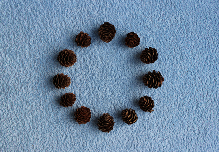 Round frame of twelve cones of larch on a blue background.の写真素材