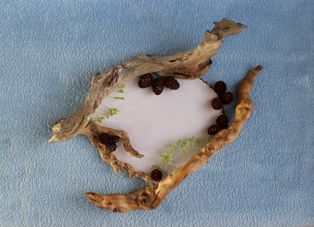 A heart frame of larch cones and dry sticks on a blue and white background.の写真素材