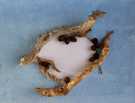 A heart frame of larch cones and dry sticks on a blue and white background.の写真素材