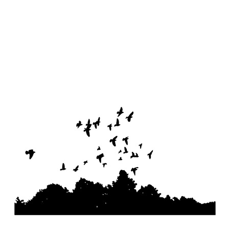 black silhouettes of a flock of doves (Columba livia) flying over the trees on a white background.のイラスト素材