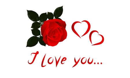 Valentine with red rose on a white background.のイラスト素材
