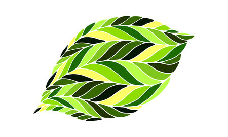 Image of a leaf in shades of green on a white background.のイラスト素材