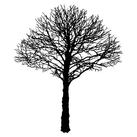 Image of black urban tree contourのイラスト素材