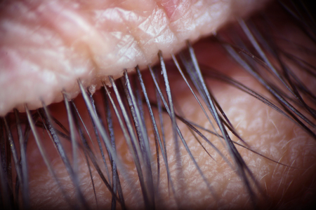 human female one eye macro skin and eyelashesの写真素材