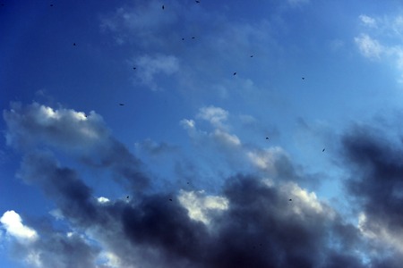 blue sky with clouds before the storm in Moscowの写真素材
