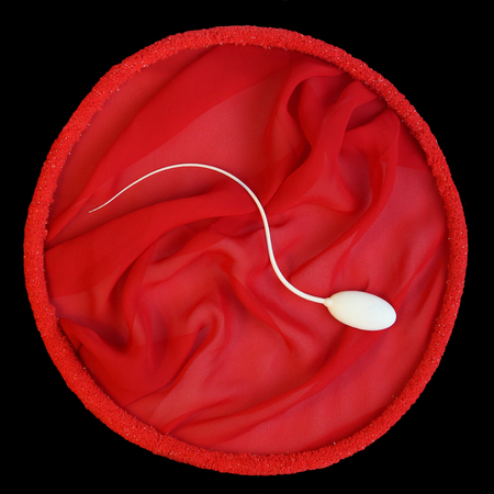 isolated lone sperm on a red and black backgroundの写真素材