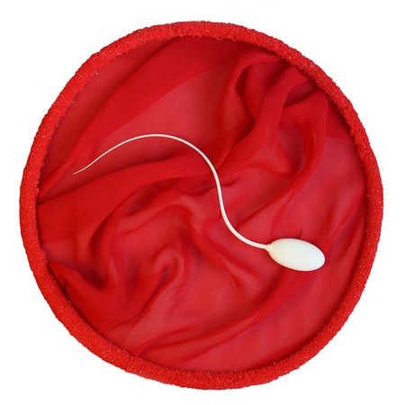 isolated lone sperm on a red and white backgroundの写真素材