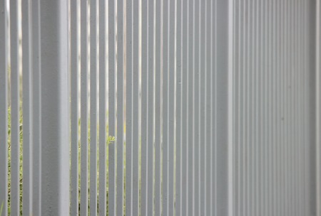 gray metal fence in the long run as a background and green leaf.の写真素材