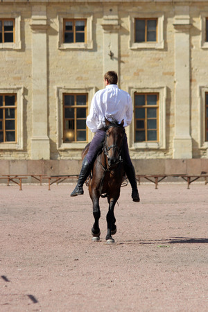 trick riding to men at bay stallion who jumps at a trot on the sand squareの写真素材